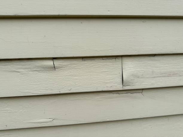 Best Foreclosure Cleanout  in Brookfield, IL